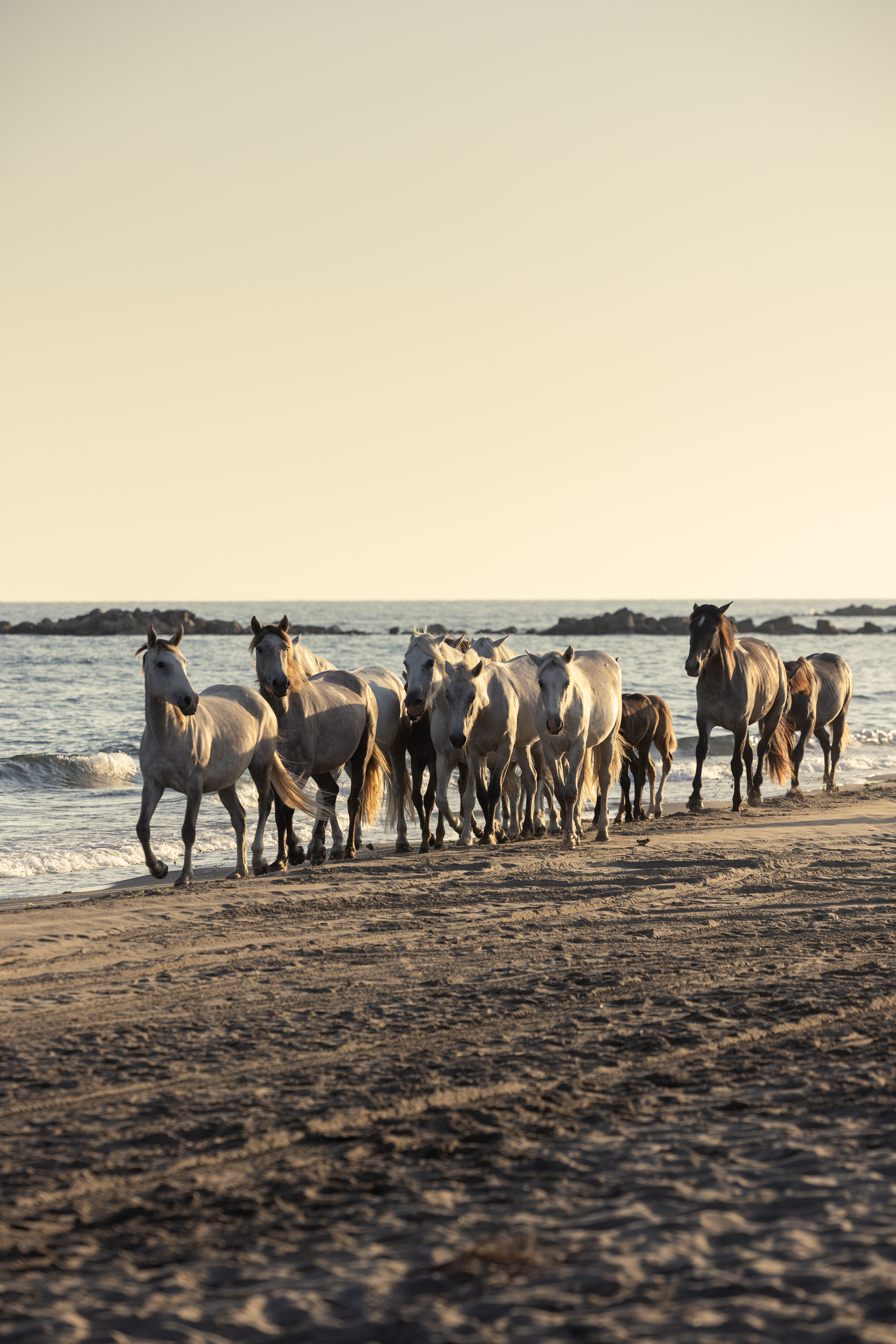 Roadtrip GLB & GLC en Camargue. Roadtrip GLB & GLC en Camargue.