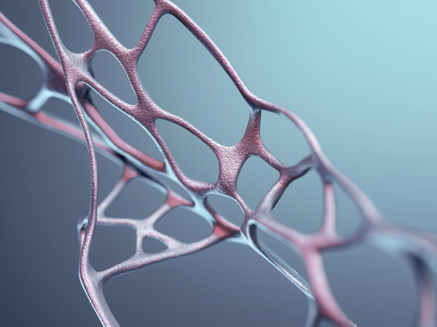 L’aspect écologique