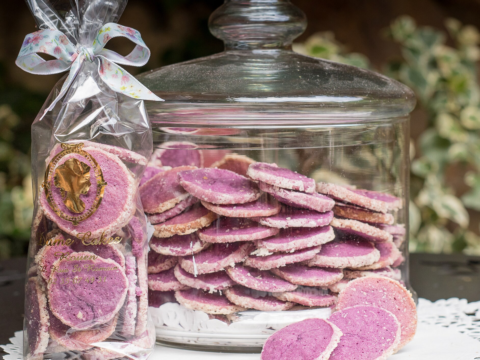 20 ans d’évolution